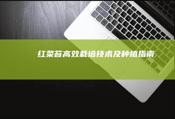 红菜苔高效栽培技术及种植指南